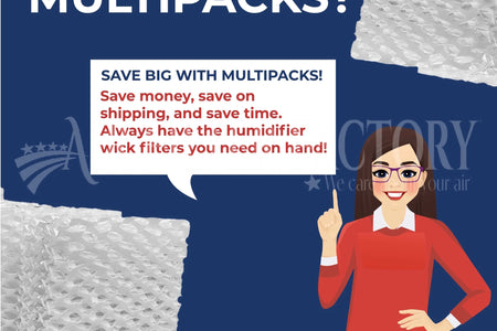 Replacement for D13C Humidifier Wick Filter 2-Pack