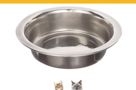 Stainless Steel Dog and Cat Bowls (2 Pack) Neater Feeder Cat Deluxe or Cat Express Extra Replacement Bowl (Metal Food and Water Dish) (1 Cup)