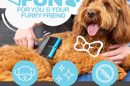 - Doodle Brush for Dogs, Goldendoodle Brushes for Grooming & Dog Brush for Labradoodle - Doodle Dog Brush - Doodle Grooming Brush, Bernedoodle Brush - Slicker Brush for Doodles