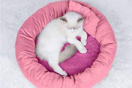 Calming Dog Beds with Pillow for Small Medium Dogs and Cats, round Dog Cuddler Cozy Bed, Washable Fluffy Plush Pet Bed Thickened Dog Kennel Mat for Puppy Sleeping